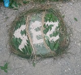 Jugend - Sportbegegnung mit dem Partnersportkreis Saale-Orla