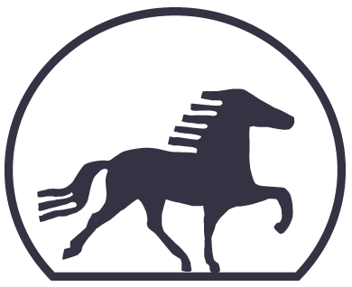 Vereinslogo von Island Reiterfreunde- Idstein-Taunus e.V.